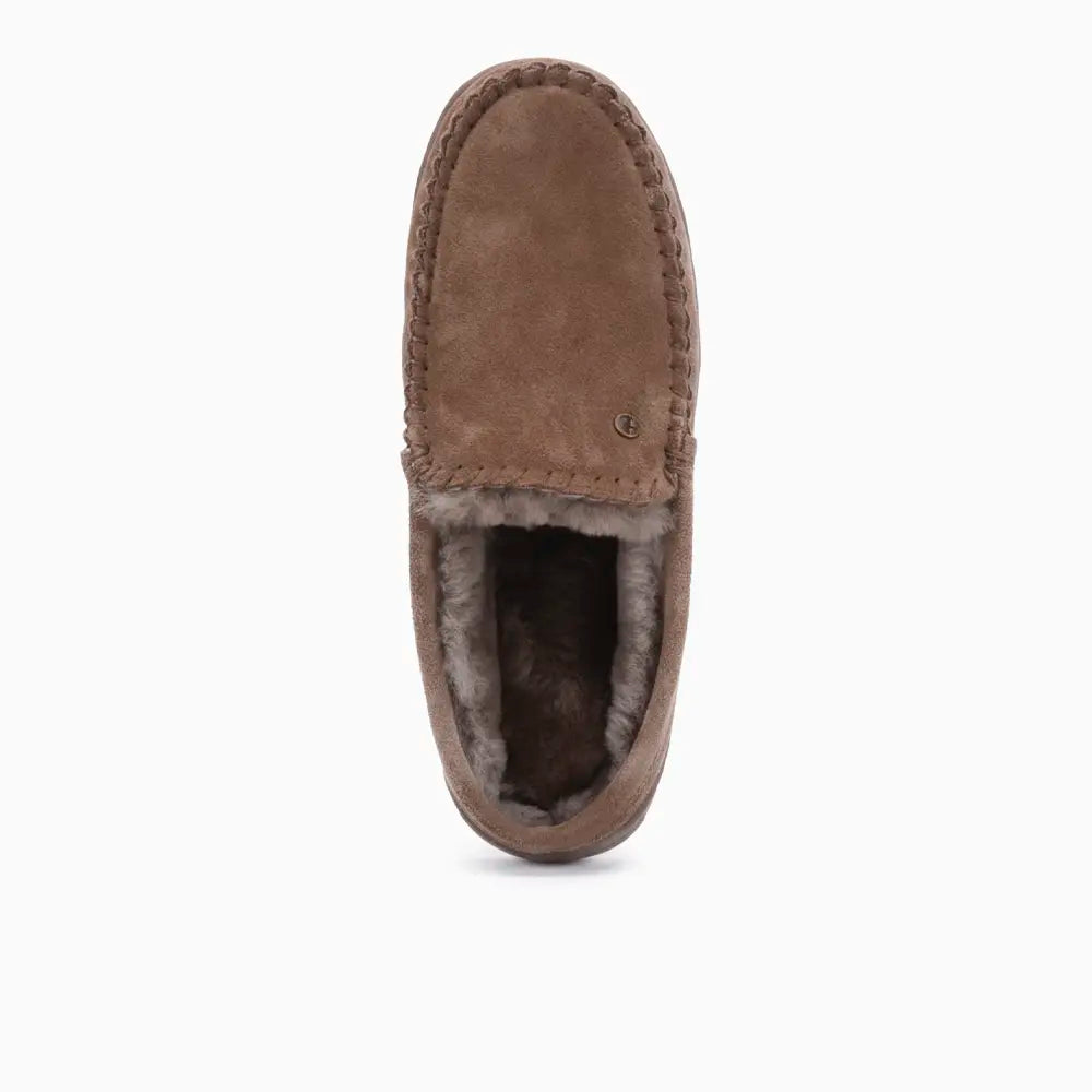 Jabiru Heren Suède Mud 2